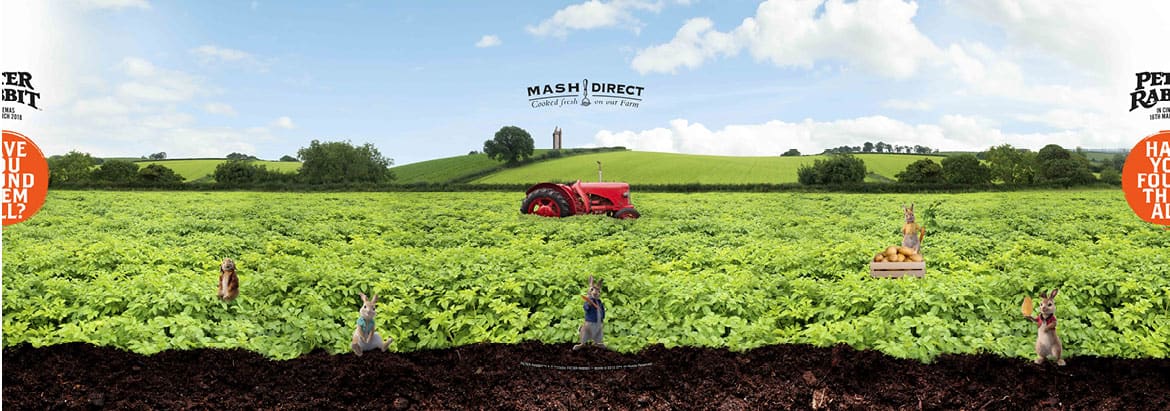 Mash Direct - Peter Rabbit Facebook Advertising - Canvas Game